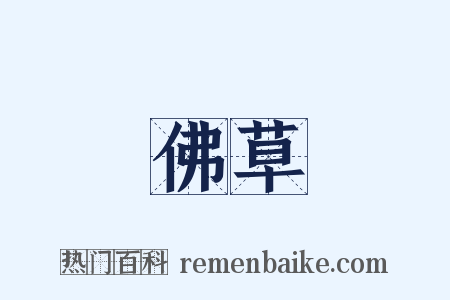 佛草是什么意思的图片